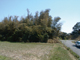 FileNo.123-003.jpg