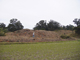 FileNo.123-004.jpg