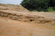 FileNo.123-006.jpg