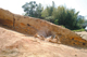FileNo.123-008.jpg