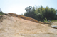 FileNo.123-009.jpg