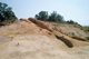 FileNo.123-010.jpg