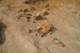 FileNo.123-011.jpg