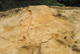 FileNo.123-015.jpg