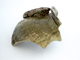 FileNo.123-035.jpg