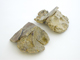 FileNo.123-054.jpg