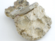 FileNo.123-056.jpg