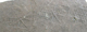 FileNo.123-061.jpg