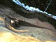 FileNo.124a-008.jpg