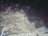 FileNo.22-122.jpg