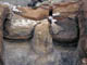 FileNo.124b-004.jpg