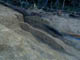 FileNo.124b-019.jpg