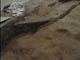 FileNo.124b-023.jpg