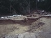 FileNo.22-123.jpg