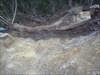 FileNo.22-126.jpg