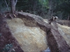 FileNo.22-127.jpg