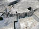 FileNo.125-004.jpg