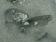 FileNo.125-008.jpg