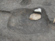 FileNo.125-029.jpg