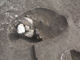 FileNo.125-032.jpg
