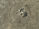 FileNo.125-033.jpg