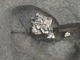 FileNo.125-035.jpg