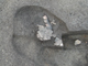 FileNo.125-036.jpg