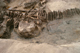 FileNo.125-049.jpg