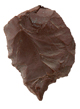 FileNo.125-074.jpg