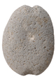 FileNo.125-091.jpg