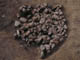 FileNo.126-008.jpg
