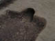 FileNo.126-020.jpg