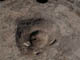 FileNo.126-025.jpg
