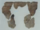 FileNo.126-050.jpg