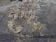 FileNo.127-017.jpg