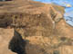 FileNo.127-019.jpg