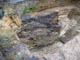 FileNo.127-039.jpg