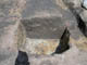 FileNo.127-041.jpg
