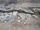 FileNo.127-057.jpg