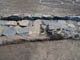 FileNo.127-059.jpg