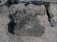 FileNo.127-090.jpg