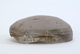 FileNo.127-102.jpg