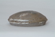 FileNo.127-113.jpg