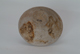 FileNo.127-136.jpg
