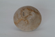 FileNo.127-137.jpg