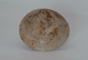 FileNo.127-139.jpg