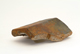 FileNo.127-288.jpg