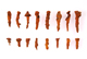 FileNo.127-352.jpg