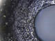FileNo.128-006.jpg