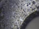 FileNo.128-010.jpg